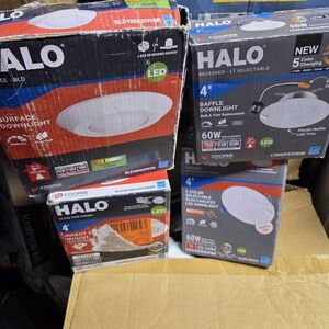 Halo 4" Canless Light Bundle